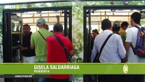 17-07-19 Así disfrutan los paisas el primer Metroplús 100eléctrico que rueda por Medellín
