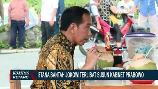 Begini Kata Pihak Istana Bantah Jokowi Cawe-Cawe Kabinet Prabowo-Gibran