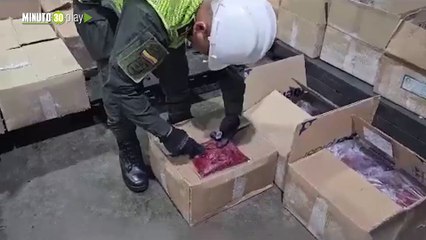 Entre pulpa de fruta se pretendía enviar más de una tonelada de cocaína a España