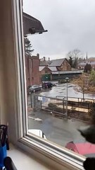 Otterly unbelievable as watery creature scuttles across car park