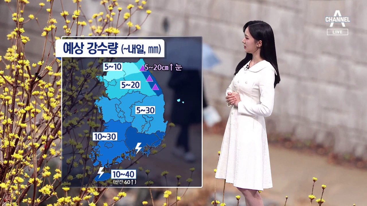 [날씨]내일까지 전국 봄비…영동 많은 눈