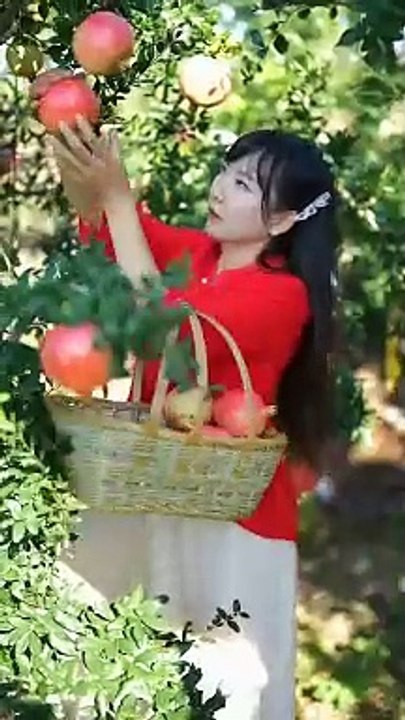 Beautiful Nature with Rural Life (P107) - Fruit for summer