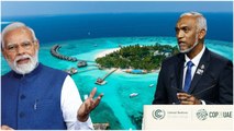 Indo Maldives Relations: Maldives President Muizzu తీవ్ర ఒత్తిడి కి కారణం? | Telugu Oneindia