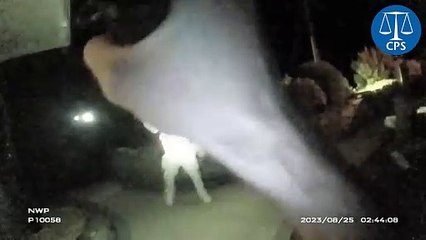Axe-wielding man is tasered by police