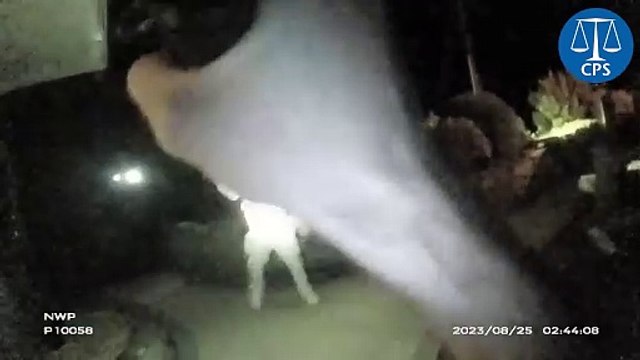 Axe-wielding man is tasered by police