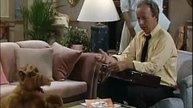 Estranhos na noite (Alf, o ETeimoso  – Ep. 2)