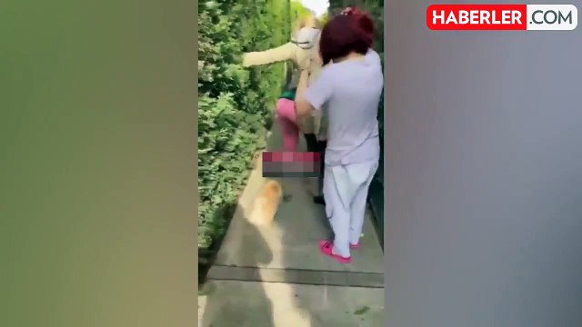 Fenomen Banu Parlak'ın köpeği komşusunun köpeğini öldürdü