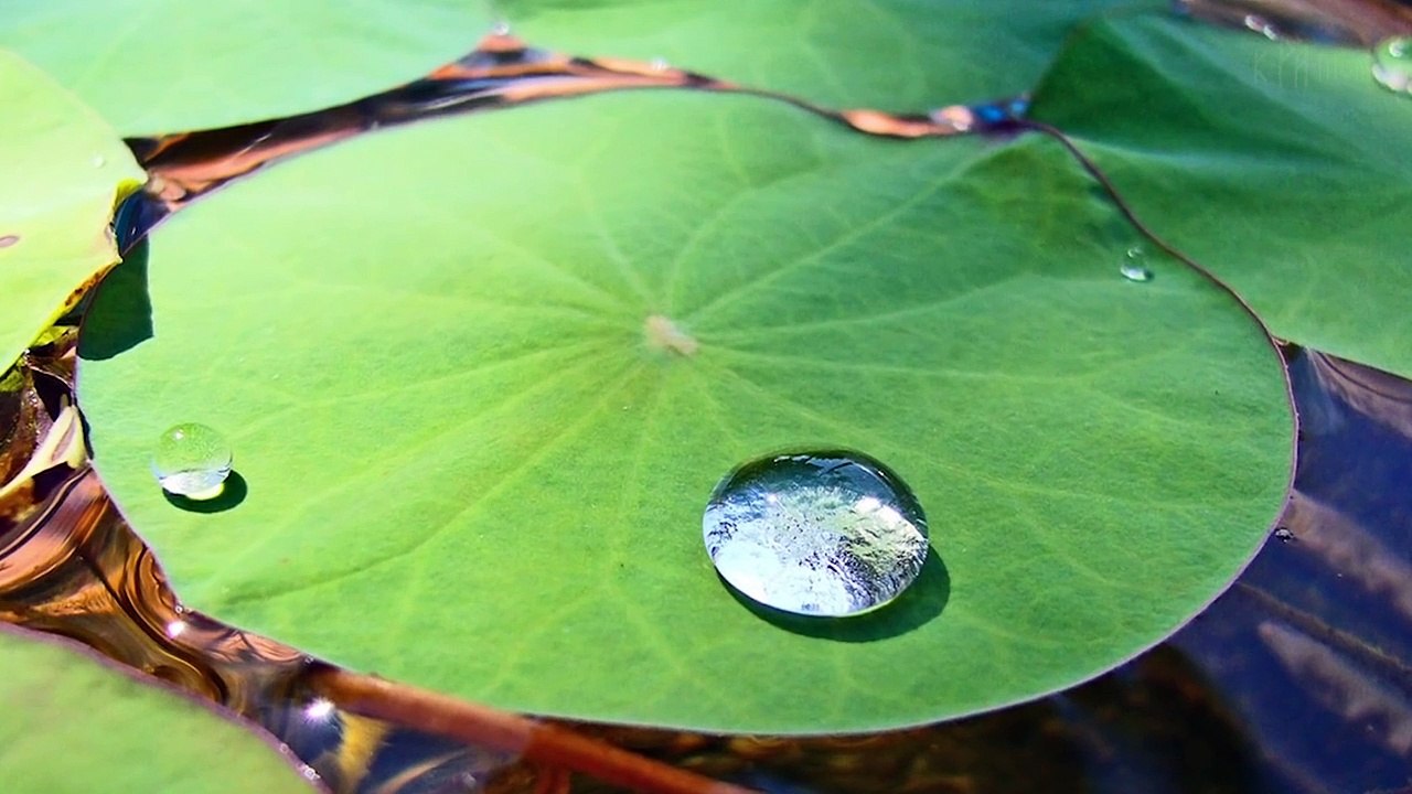 10 obiektów, które przeczą prawom fizyki PL