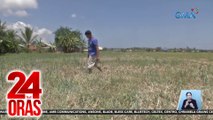 Mga magsasakang naapektuhan ng tagtuyot sa Or. Mindoro, tinulungan ng GMA Kapuso Foundation | 24 Oras