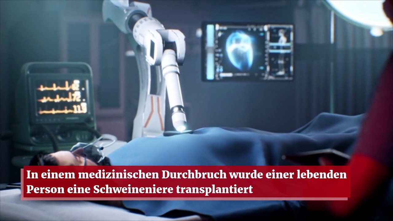 In einem medizinischen Durchbruch wurde einer lebenden Person eine Schweineniere transplantiert
