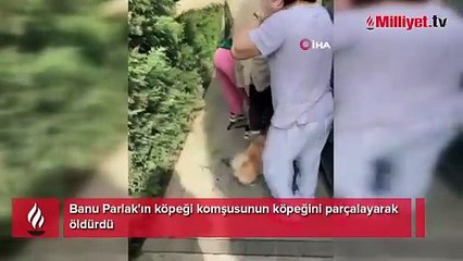 Banu Parlak'ın köpeği komşusunun köpeğini parçalayarak öldürdü