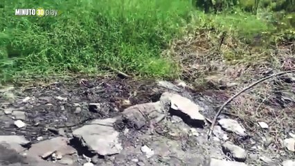 06_11_2019 En Ituango, el Ejército Nacional destruye un importante laboratorio de pasta base de coca