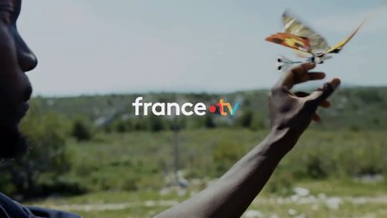 [BA] Le rêve de Léonard, les secrets du vol dans la nature - 04.04.2024