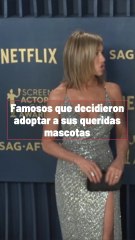 Estrellas Que Adoptaron Animales Rescatados