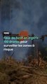 Feux de forêt en Algérie : 100 drones pour surveiller les zones à risque