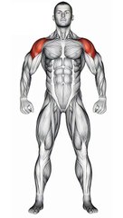 Shoulder Workout #shorts #shoulderworkout #shoulder