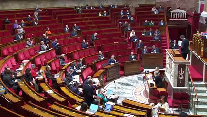 Discussion générale - Proposition de loi constitutionnelle IVG