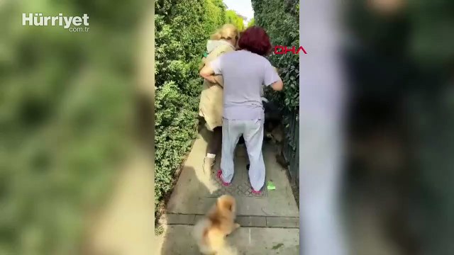 Banu Parlak'ın köpeği saldırdığı komşusunun köpeğini öldürdü