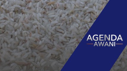 Enam bulan tempoh libat urus, libatkan pembangkang bincang harga beras - Menteri