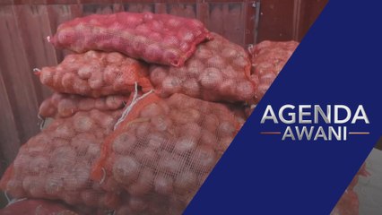 MARDI edar benih bawang ke tiga negeri, capai sasaran 30 peratus bawang tempatan - Menteri