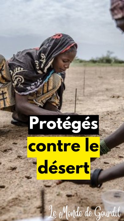 Construisons un mur mais VERT