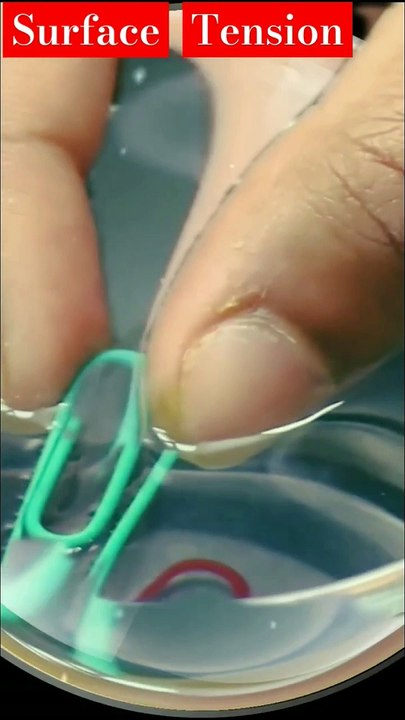 Floating Needle _ Surface Tension _ Floating Needle On The Water, #scienceexperiment #science #experiment #surfacetension #floatingneedle #needlefloatingonwater