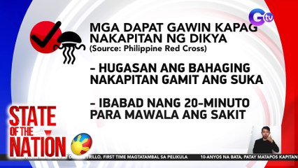 Tip talk sakaling makapitan ng nakalalasong dikya | SONA