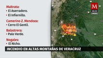 Cinco incendios forestales causan estragos en Veracruz; evacúan a más de 200 personas