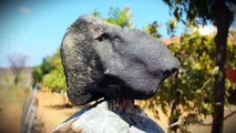 Gran Estruendo en Brasil Por Caída de Meteorito