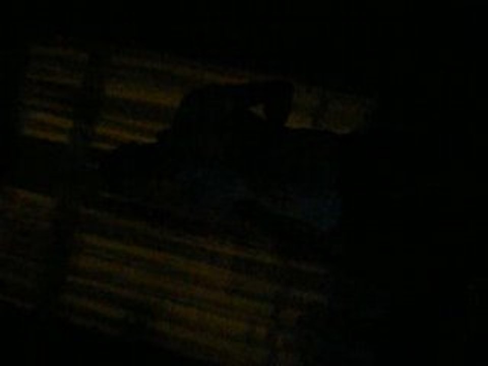 Reno Jo chantent j'ai encore rêvé d'elle