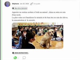 Fonctionnalités à l'intérieur d'une contribution