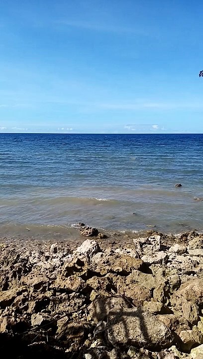 Vitamin Sea