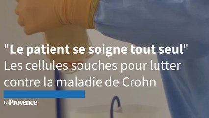 Des cellules souches pour soigner les effets de la maladie de Crohn dans les hôpitaux marseillais