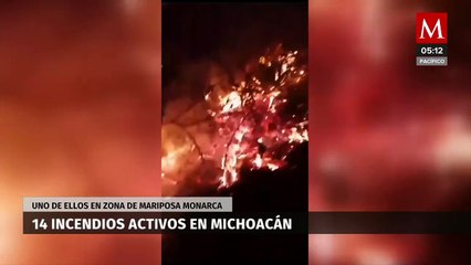 Download Video: Se reportan 14 los incendios forestales activos en Michoacán, uno de ellos en zona de mariposa monarca