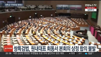 쌍특검법, 내일 본회의 상정 불발…이태원법은 막판 의견 절충