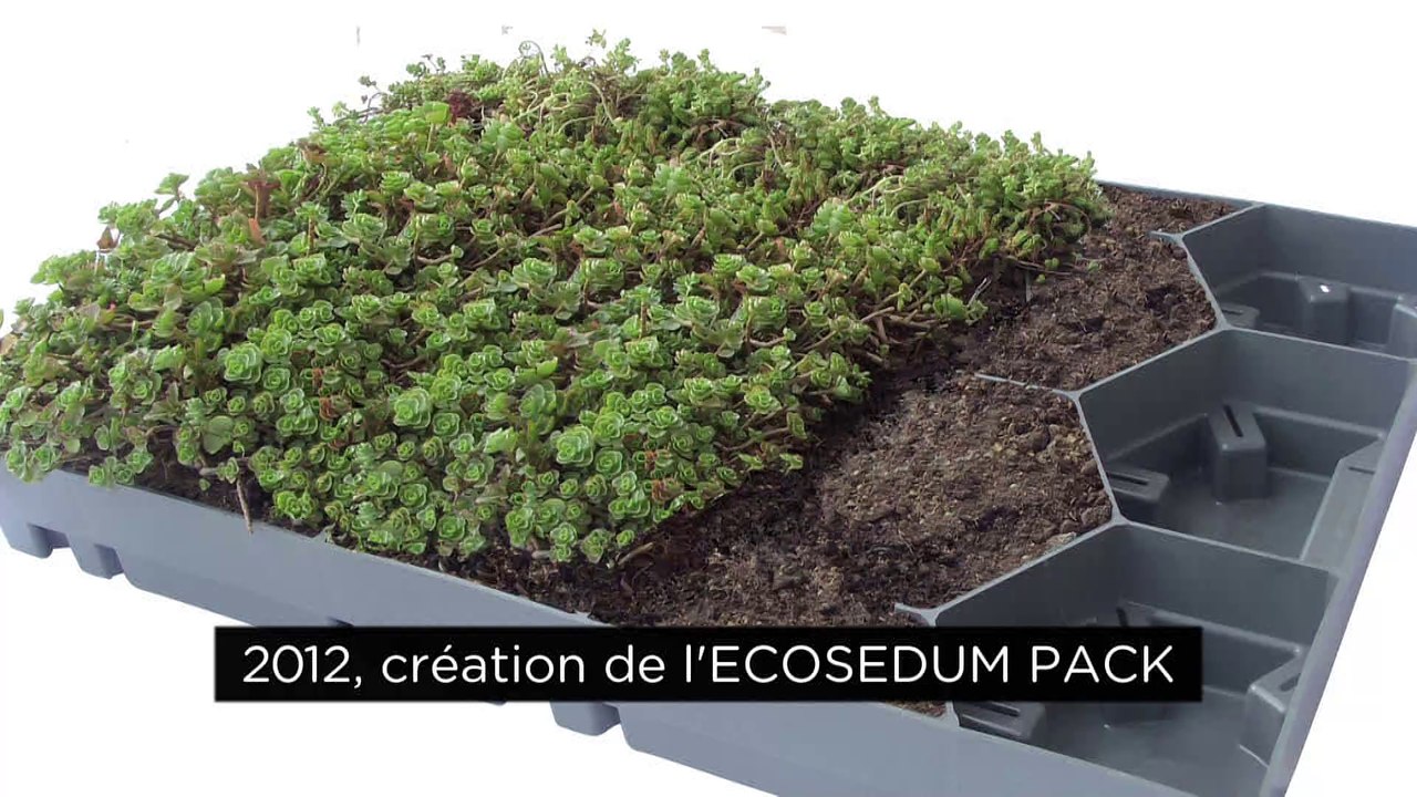 ECOSEDUM PACK : de la dalle ECOSEDUM à l'ECOSEDUM PACK
