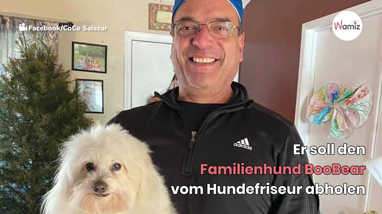 Ehefrau mit den Nerven am Ende, als ihr Mann vom Hundefrisör zurückkommt