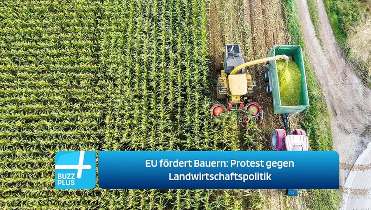 EU fördert Bauern: Protest gegen Landwirtschaftspolitik