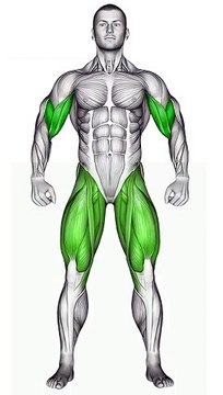 Leg & Biceps Workout #legexercises #bicepsworkout #bodybuilding #fitness #shorts #shortvideo #legs