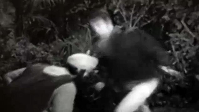 Doctor Who S02E22 The Crusade Pt 1 The Lion