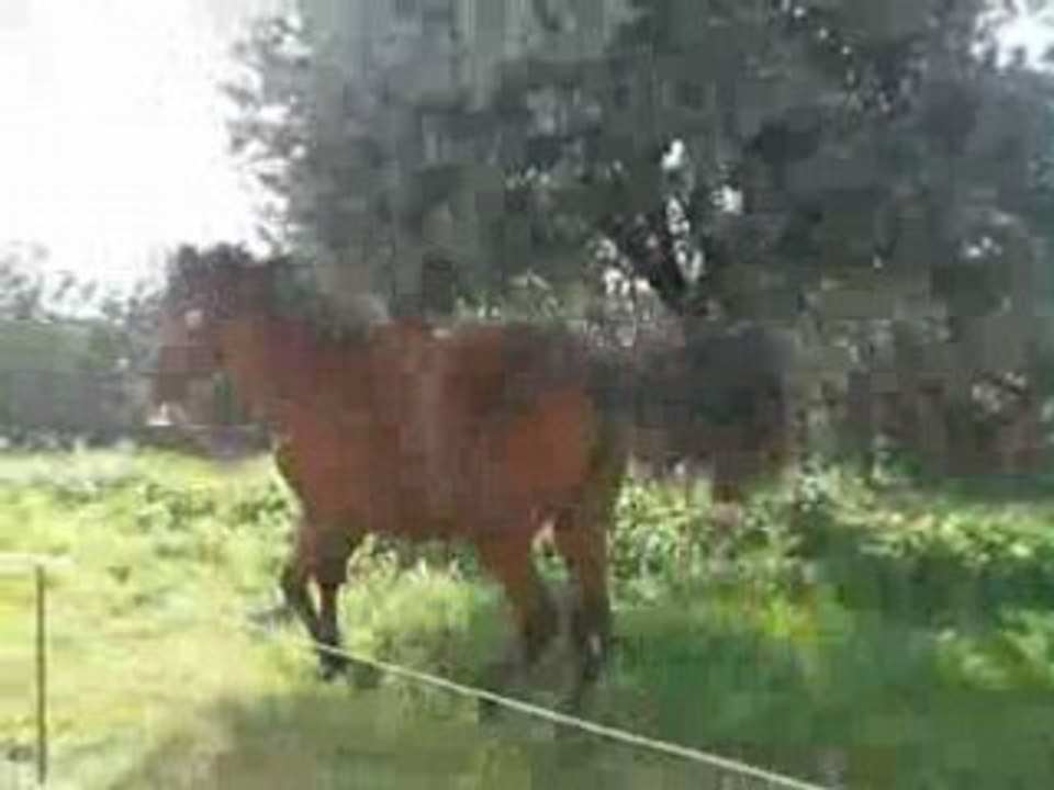 CIMG0441