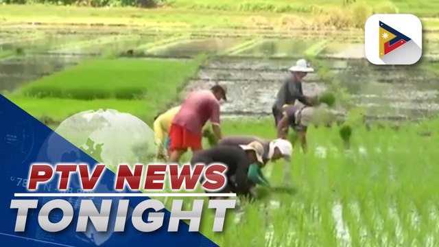 DA discusses solutions to agri spending, farm modernization with regional agricultural and fisheries councils