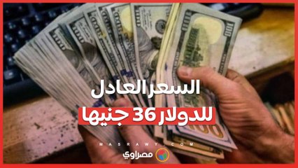 السعر العادل للدولار 36 جنيه فى المستقبل ... وهناك رؤية مصرية طموحة ..ما التفاصيل ؟