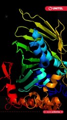 ¿La enfermedad del ciervo zombie contagia a humanos? ¿Corremos peligro?