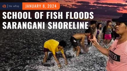 A blessing? School of fish floods shoreline of Sarangani resort