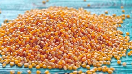 L'ONU affirme que les prix ont chuté pour plusieurs produits alimentaires en 2023