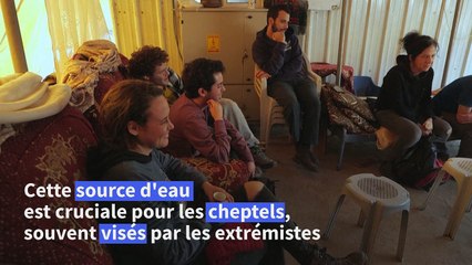 Cisjordanie: des militants pacifistes israéliens protègent les Palestiniens