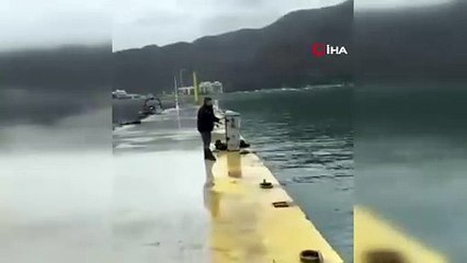 Oltaya balık değil martı takıldı