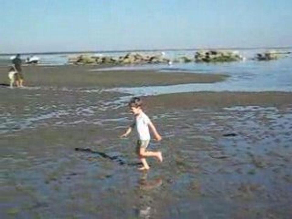 Baignade Piquey Février 2008