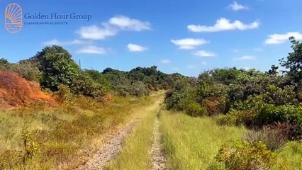 What do you think a place like this will cost you in the Caribbean?